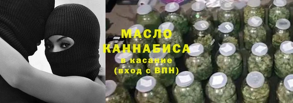 индика Бронницы