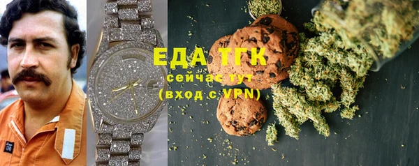 индика Бронницы