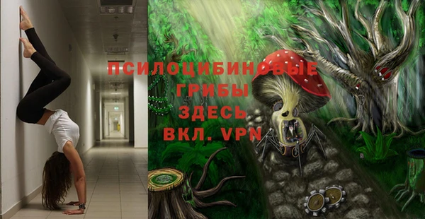 MDMA Бородино