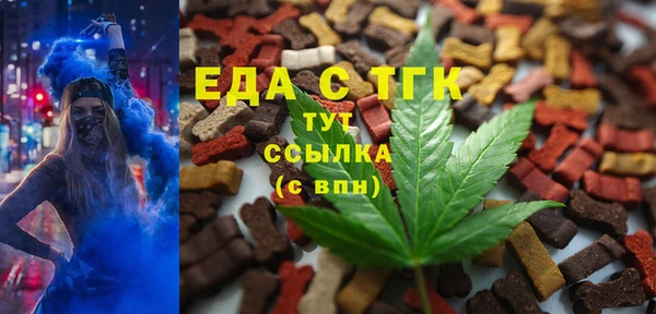 индика Бронницы