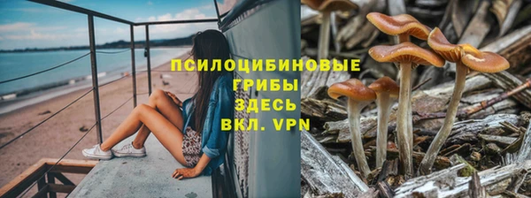 индика Бронницы