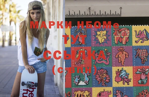индика Бронницы
