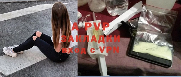 индика Бронницы