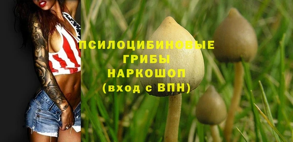 индика Бронницы