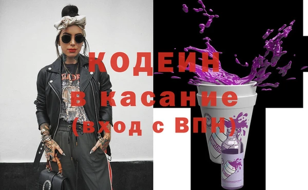 индика Бронницы